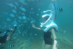 Sealife Co.,ltd