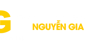 CÔNG TY TNHH THƯƠNG MẠI DỊCH VỤ TƯ VẤN QUỐC TẾ NGUYỄN GIA CÔNG TY TNHH THƯƠNG MẠI DỊCH VỤ TƯ VẤN QUỐC TẾ NGUYỄN GIA