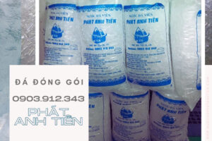 CÔNG TY TNHH SẢN XUẤT THƯƠNG MẠI DỊCH VỤ PHÁT ANH TIẾN CÔNG TY TNHH SẢN XUẤT THƯƠNG MẠI DỊCH VỤ PHÁT ANH TIẾN